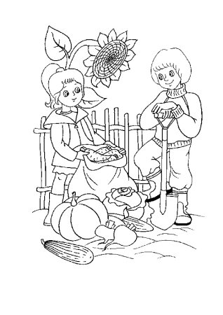 Огород раскраска для детей