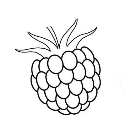 Контур ягоды малины