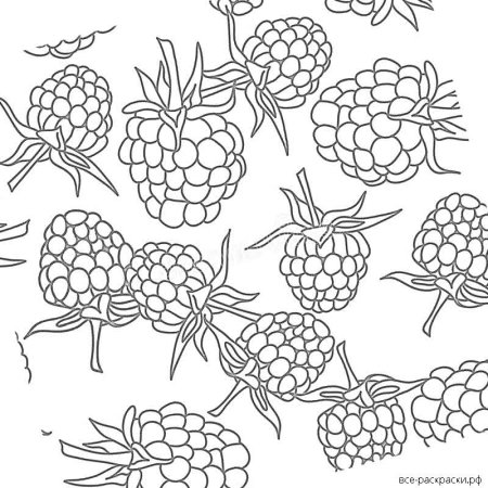 Малина раскраска