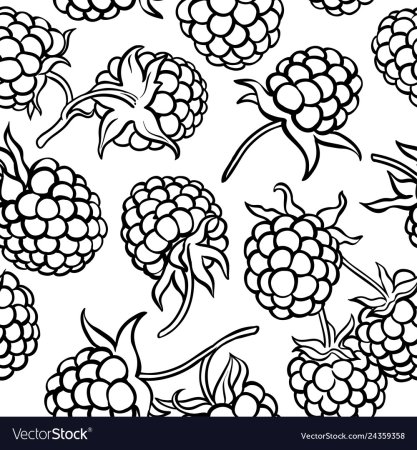 Ежевика раскраска для детей