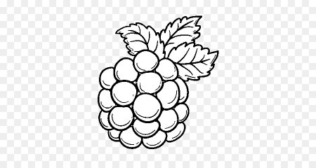 Малина раскраска для детей