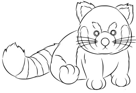 Красная Панда раскраска для детей