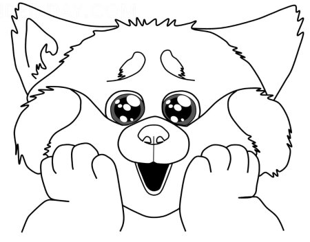 Красная Панда мультик раскраска