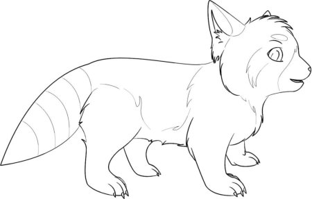 Красная Панда раскраска