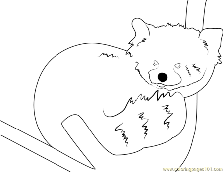 Распечатка красная Панда