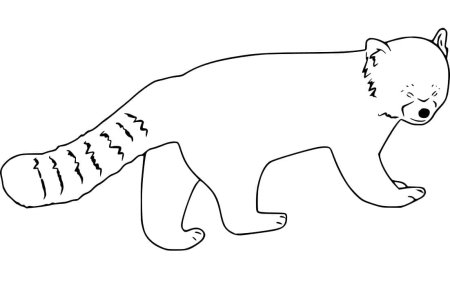 Красная Панда рисунок карандашом