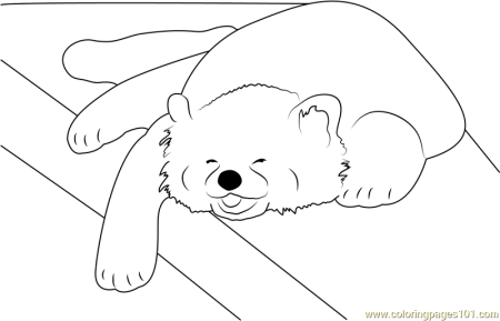 Красная Панда раскраска