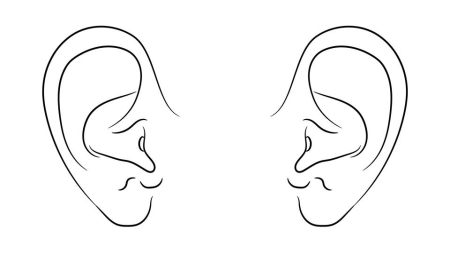 Ухо контур