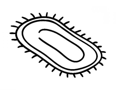 Раскраска кошка на коврике