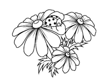 Цветы для разрисовки