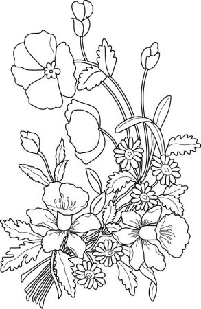 Раскраски цветов