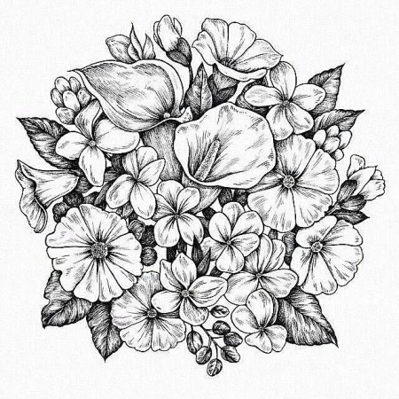 Раскраски цветов