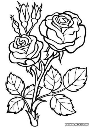 Картина-раскраска "цветы"