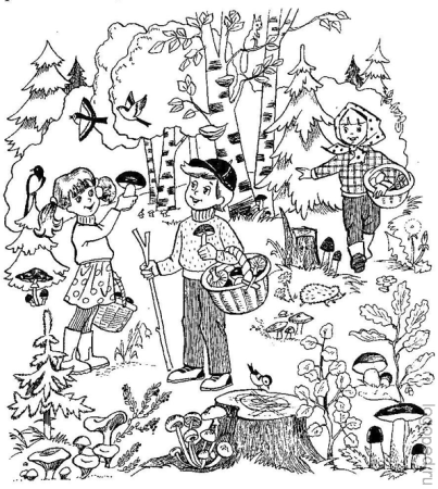 Сюжетные картинки раскраски