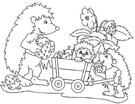 Ёжик раскраска для детей