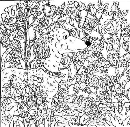 Найди и раскрась предметы