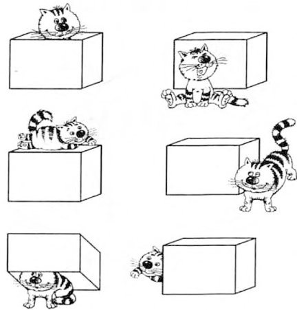 Предлоги задания для дошкольников