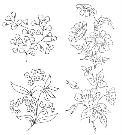 Лекарственные растения раскраска