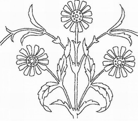 Растения. Раскраска