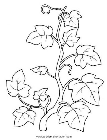 Комнатные растения раскраска