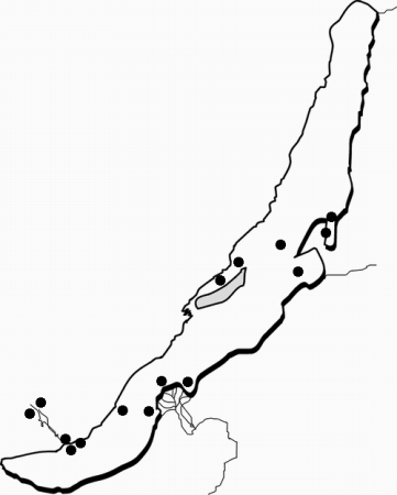 Байкал раскраска