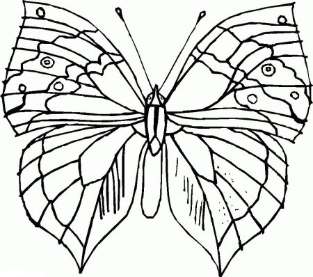 Бабочки для закрашивания