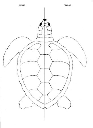 Рисование двумя ручками