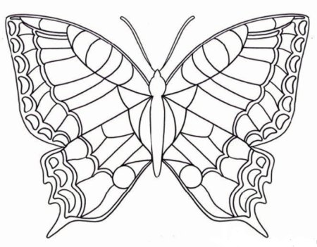 Махаон раскраска для детей