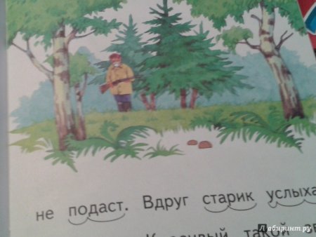 Бианки музыкант