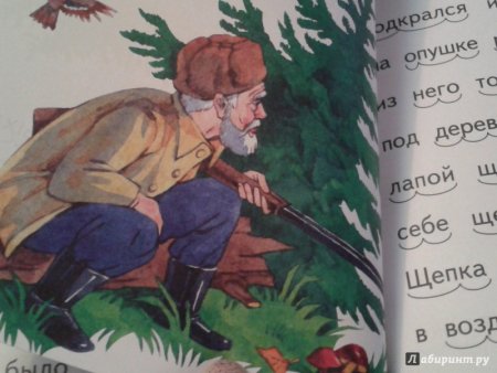 Медведь музыкант Бианки