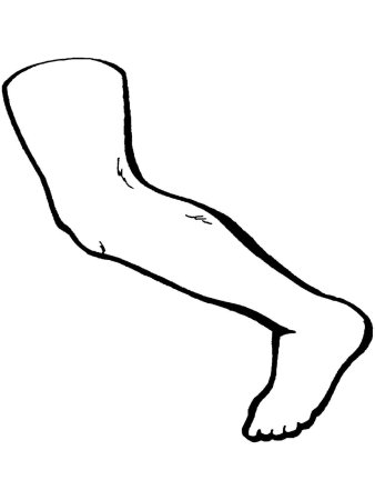 Контур ноги