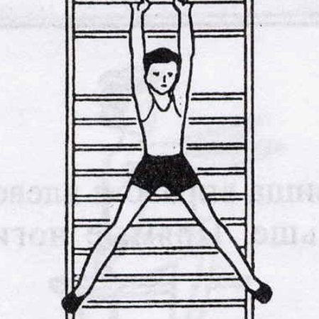 ВИС на гимнастической стенке