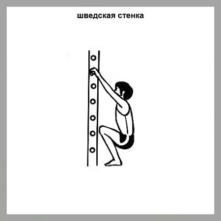 Приседания у шведской стенки
