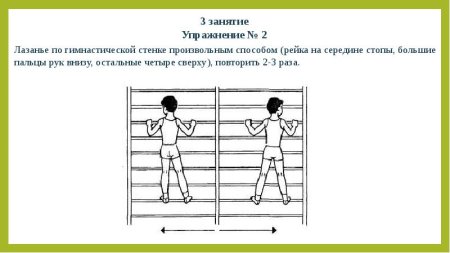 Способы лазания по гимнастической стенке
