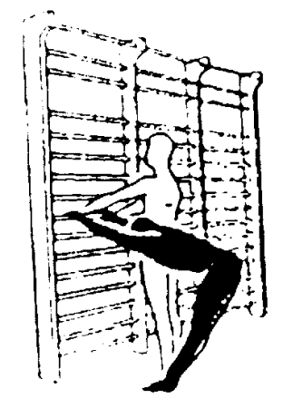 Упражнения на гимнастической стенке