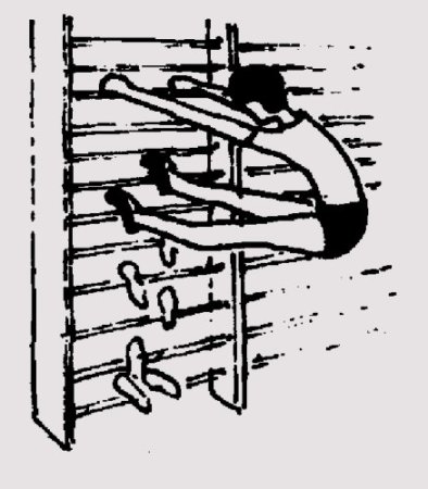 Упражнения на шведской стенке