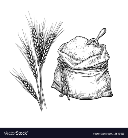 Семена раскраска для детей