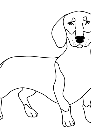 Такса раскраска для детей