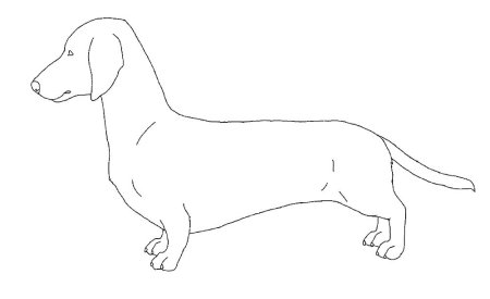 Такса сбоку