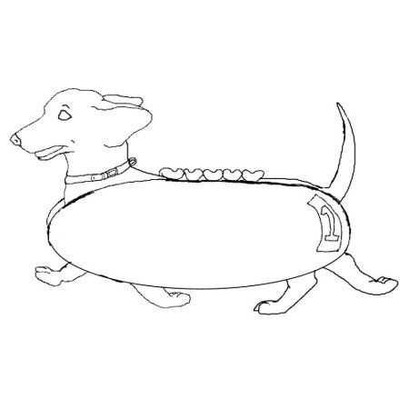 Раскраска собачка такса