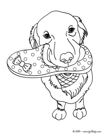 Раскраска антистресс такса