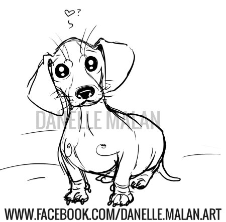 Раскраска такса щенок