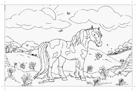 Раскраска лошади на природе