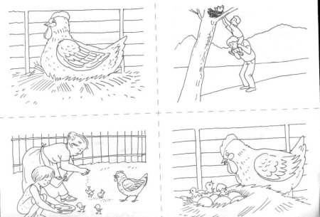 Домашние птицы задания для дошкольников