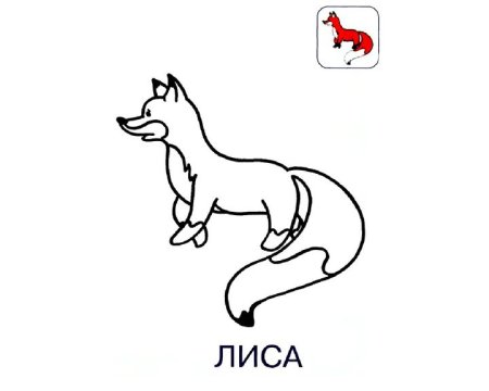 Раскраска лиса