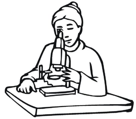 Раскраска школа