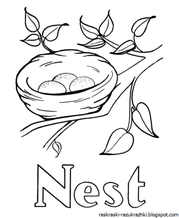 Гнездо раскраска