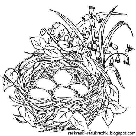 Гнездо на дереве раскраска для детей
