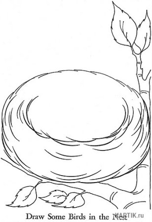 Птичка в гнезде раскраска