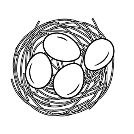 Гнездо раскраска для детей